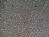 Заливаем и шлифуем бетонные полы